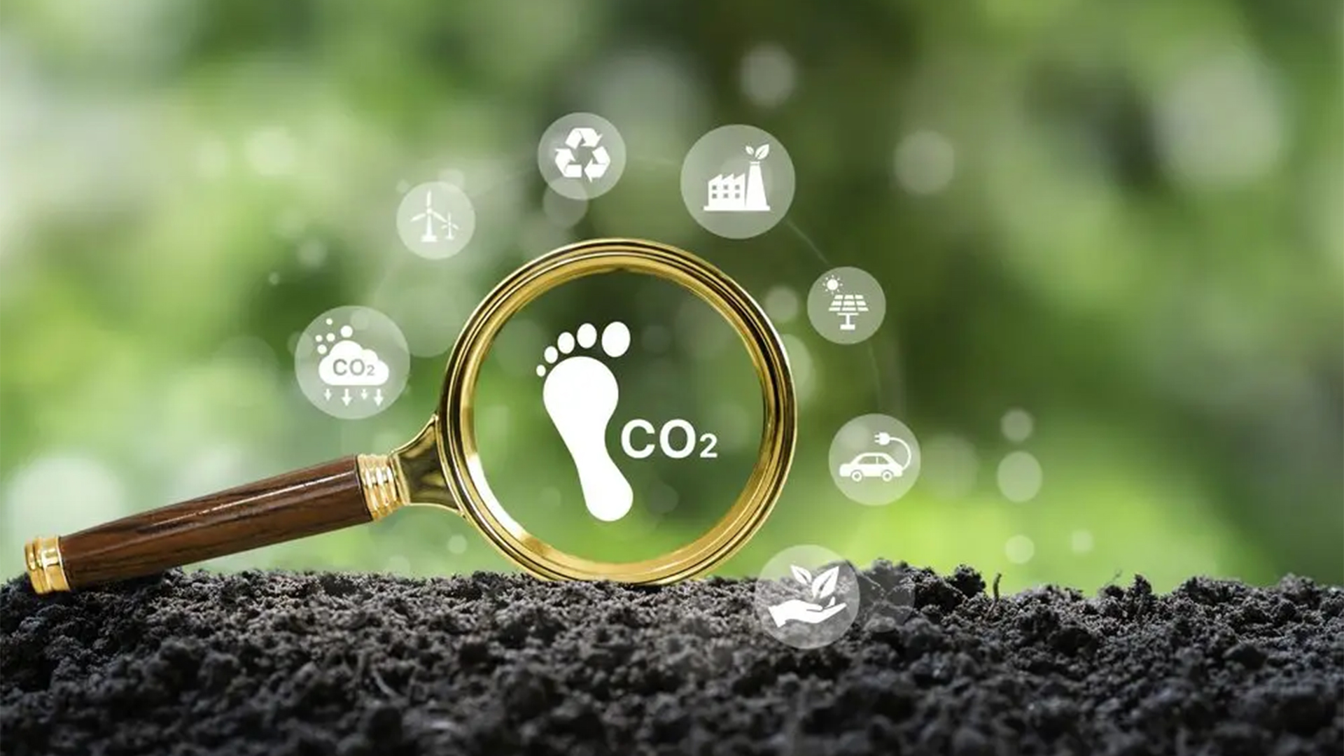 The Role of Solar Farms in the Transition to Carbon-Free Energy